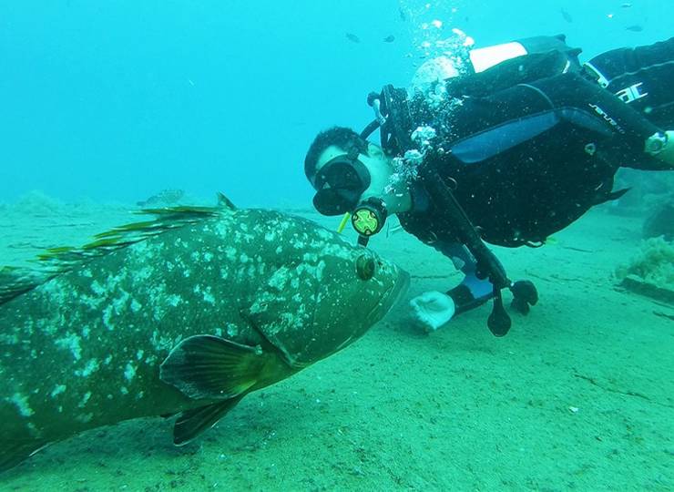 the 5 Best Dive Sites in Cyprus