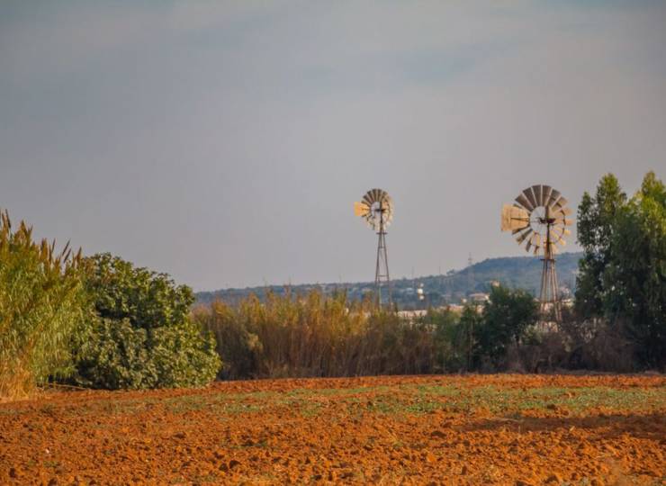 Endless Sun: The Best Authentic Experiences in Cyprus This November & December