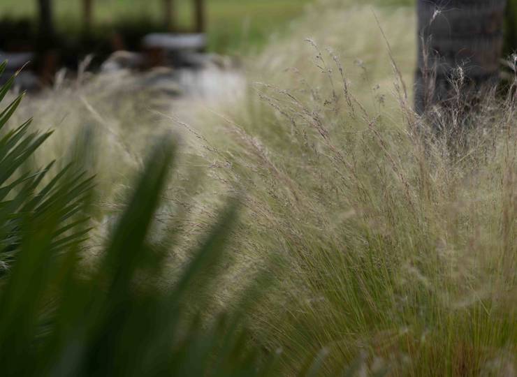 Sustainability at the Heart of Cavo Zoe