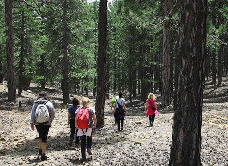 Cyprus. From a Greener Point of View