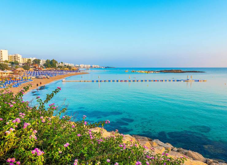 Fig Tree Bay