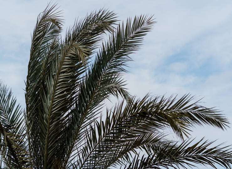 Exploring Protaras and Beyond at CavoZoe