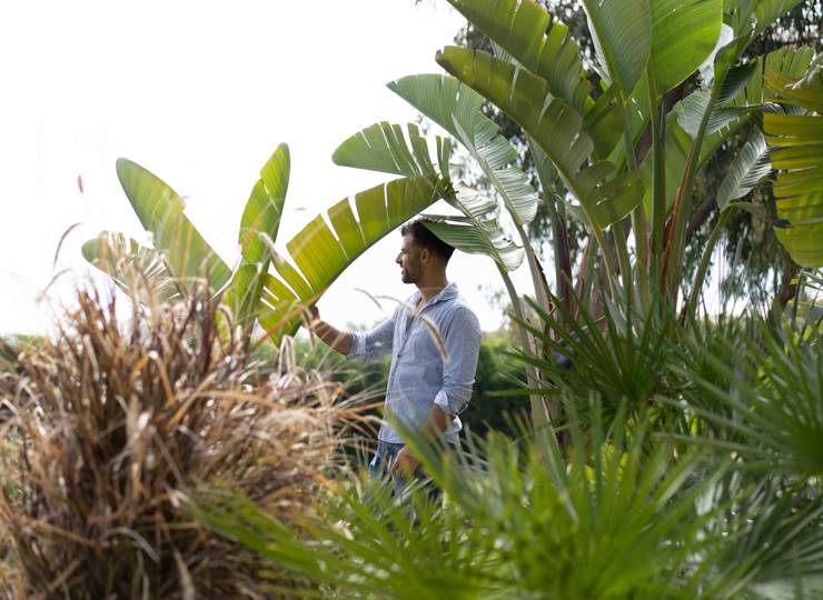 Cavo Zoe Seaside Hotel: A New Year, A New Chapter in Paradise