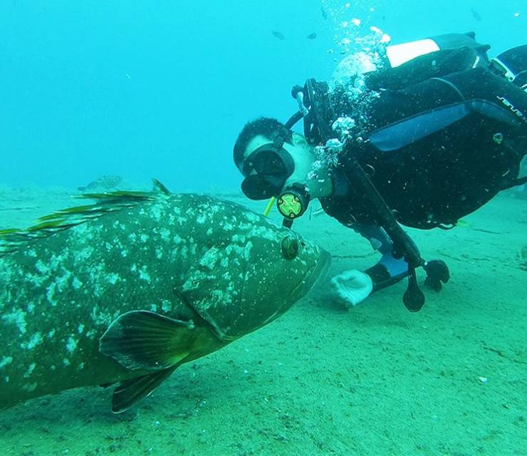 the 5 Best Dive Sites in Cyprus