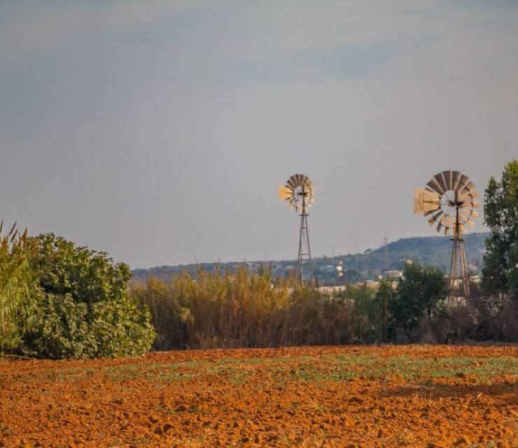 Endless Sun: The Best Authentic Experiences in Cyprus This November & December