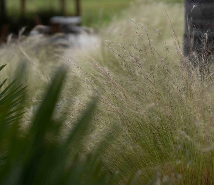 Sustainability at the Heart of Cavo Zoe