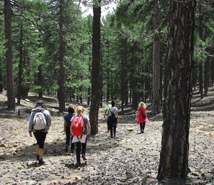 Cyprus. From a Greener Point of View