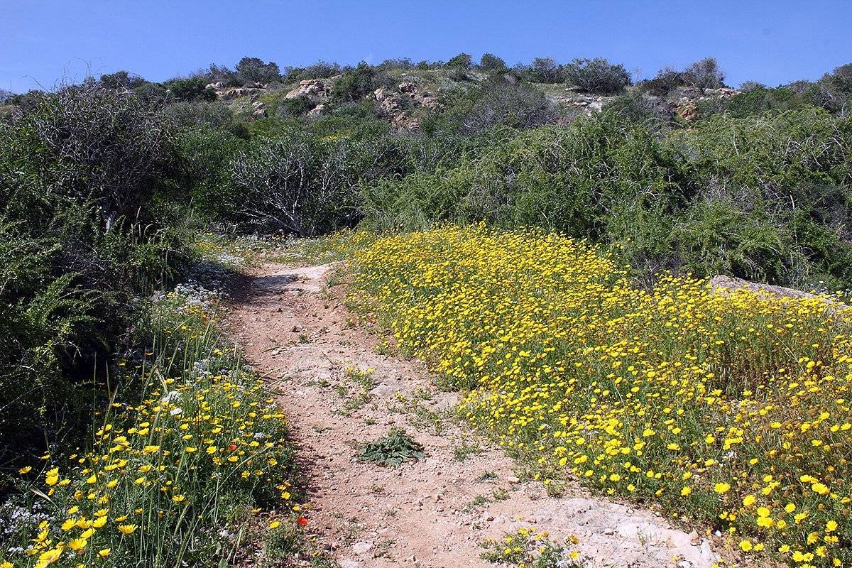 Konnoi – Agioi Anargyroi Nature trail