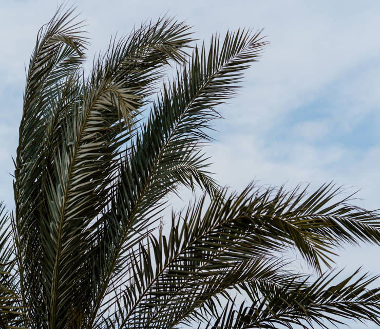 Exploring Protaras and Beyond at CavoZoe