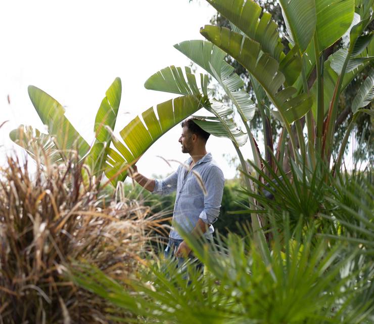 Cavo Zoe Seaside Hotel: A New Year, A New Chapter in Paradise