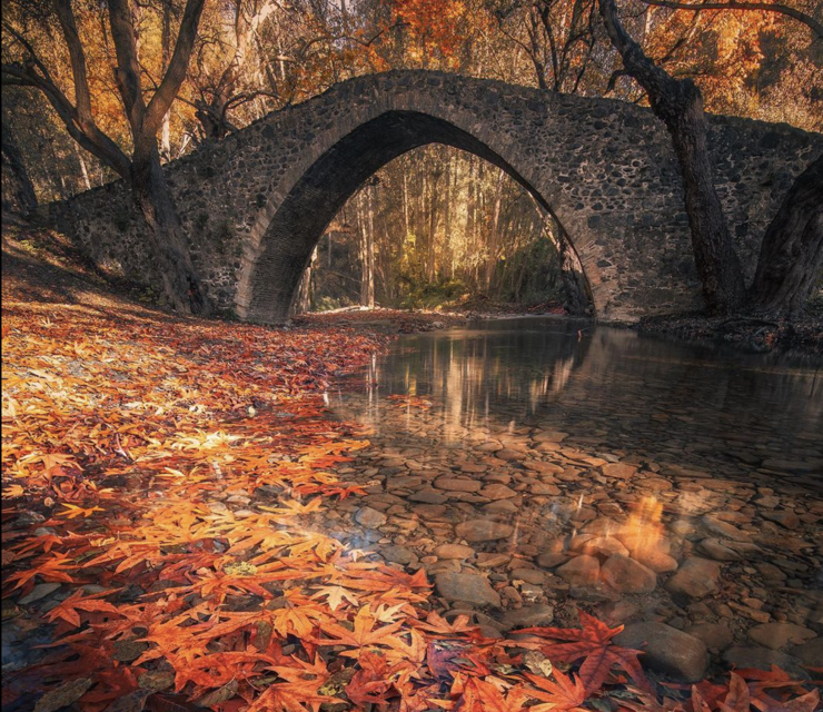 Winter Bliss in Troodos: A Symphony of Colors, Tastes, and Tranquility
